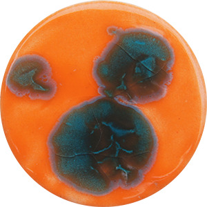 FG039 AYRES ROCK  140 ML 999ºC A 1060ºC