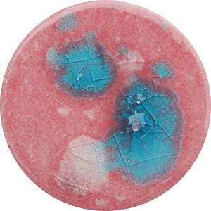 FG055 FAIRY FLOSS  140 ML 999ºC A 1060ºC