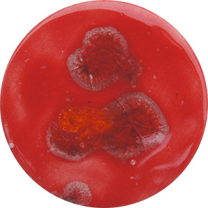 FG081 FUCHSIA FANTASTIC  140 ML 999ºC A 1060ºC