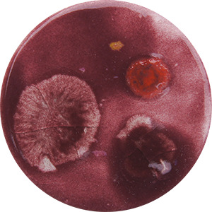 FG121 WINE FIESTA  140 ML 999ºC A 1060ºC