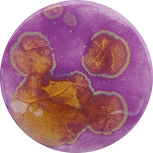 FG178 PURUSTIC  140 ML 999ºC A 1060ºC